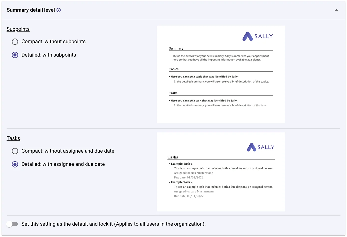Options for the level of detail in Sally summary settings