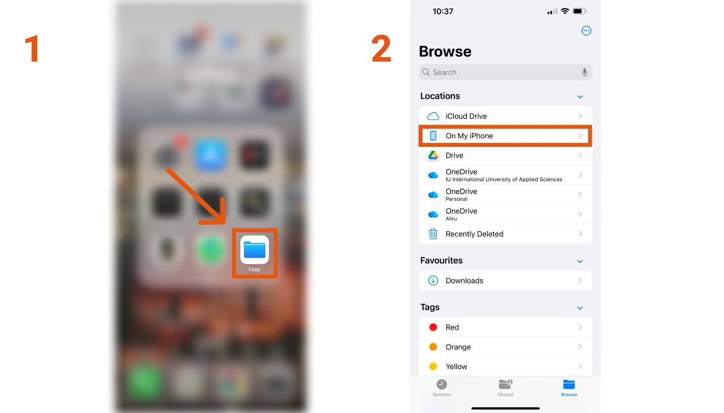 Access Sally recordings on iOS
