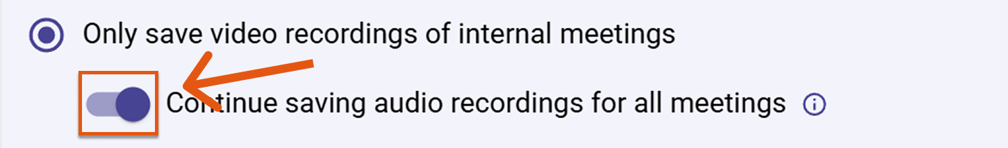 Sally AI audio recordings disabled