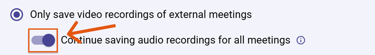 Sally AI audio recordings disabled