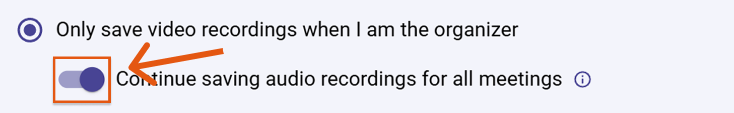 Sally AI audio recordings disabled