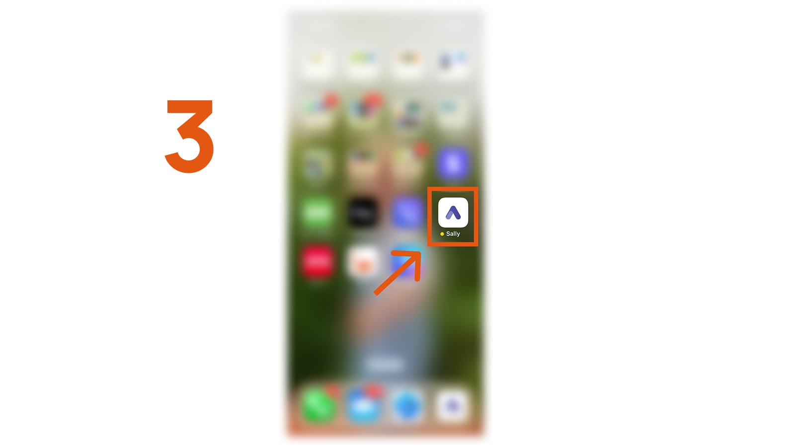 Sally App for iPhone